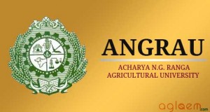 ANGRAU-Acharya-NG-Ranga